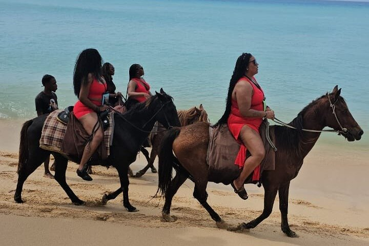 Horseback Riding at Sandy Beach in Antigua - Photo 1 of 18